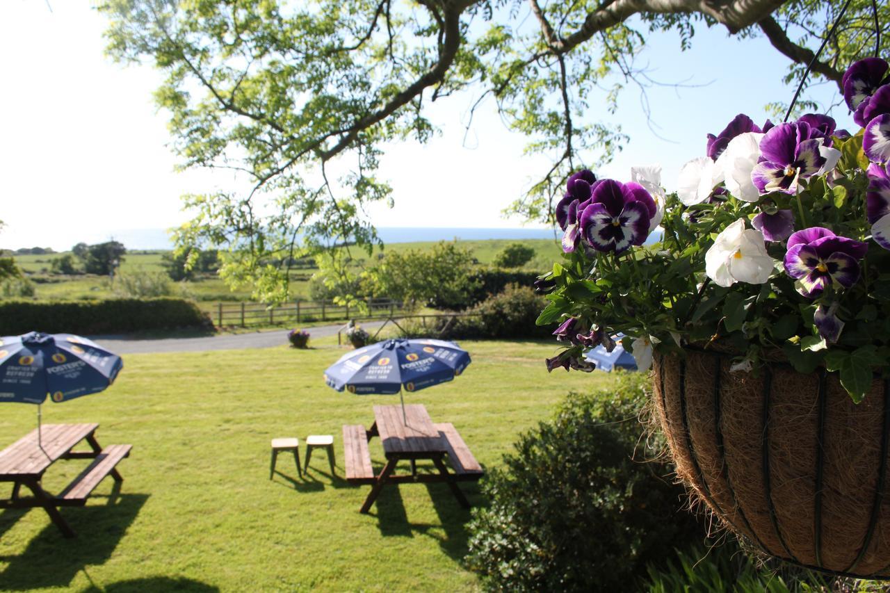 Bryn Eisteddfod B&B Clynnog-fawr Exterior foto